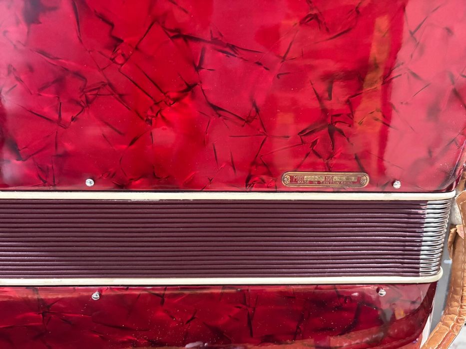 Acordeon Parrot/Scandalli cu 120 de basi