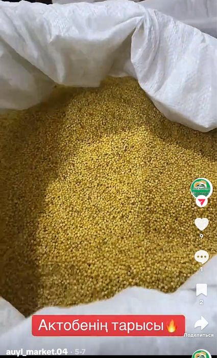 Тары. Талкан. Жарма