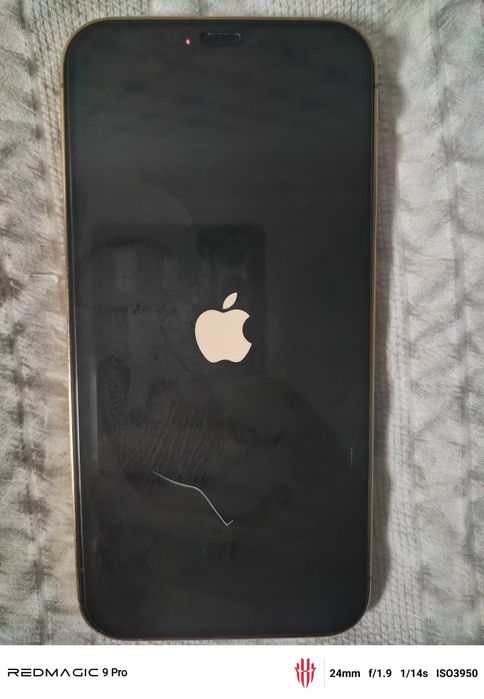 iPhone 12 pro max