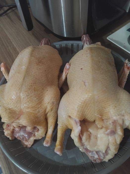 Rate tinere  pekin de vanzare
