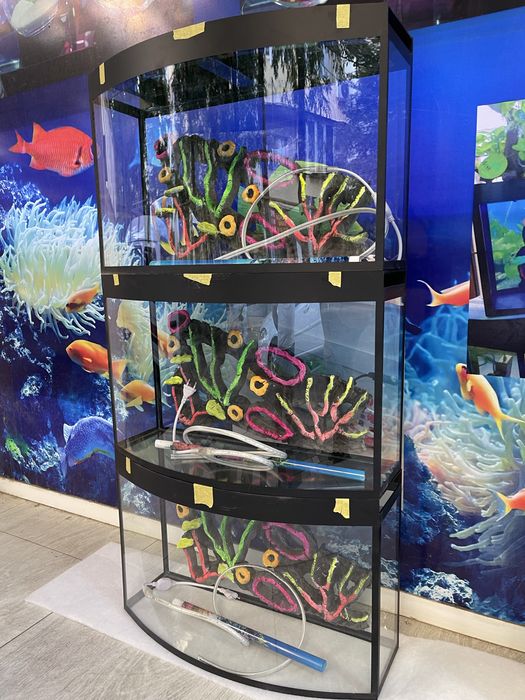 Akvarium yengi sifatli