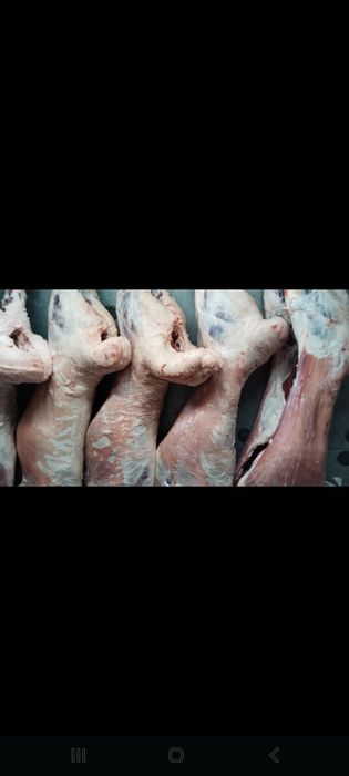 Куардак Баранина свежая