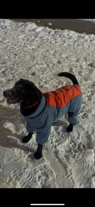 Куртка для средней собаки