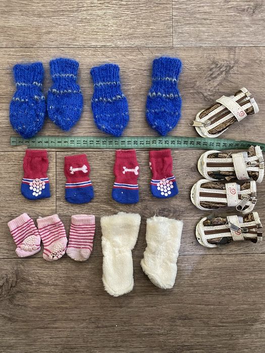 Одежда для маленькой собаки