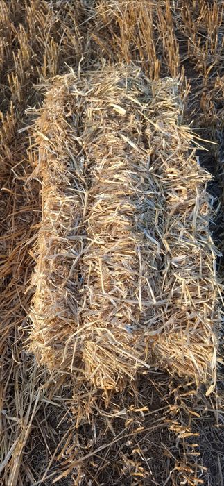 Baloti de paie de orz