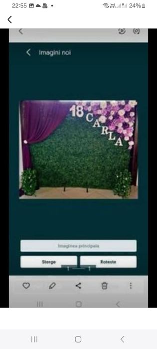 Vând panou floral, stâlpișori, prezidiu și biciclete florale