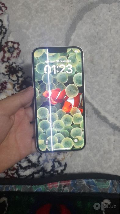 iPhone 13 Oq chotkiy bugun oganga arzonro
