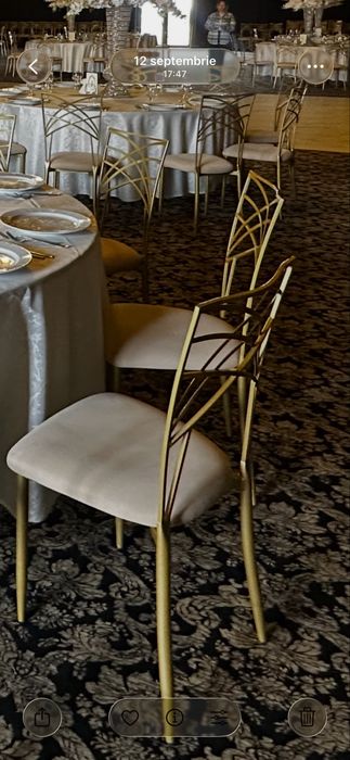 Scaune evenimente, Chameleon Ivory,aproape noi