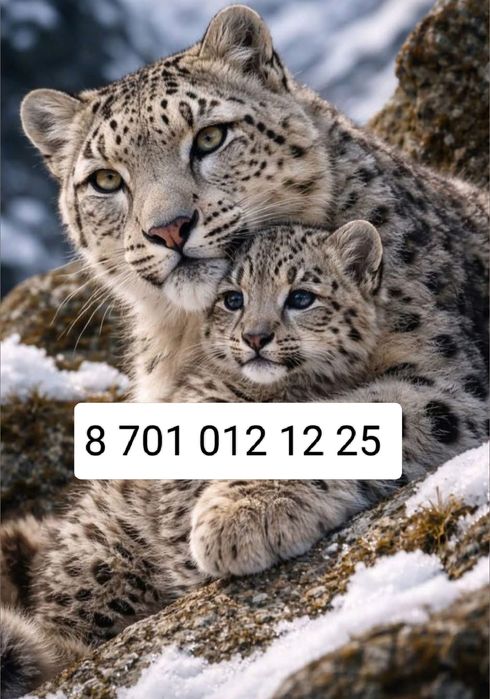 Продам топовый номер телефона