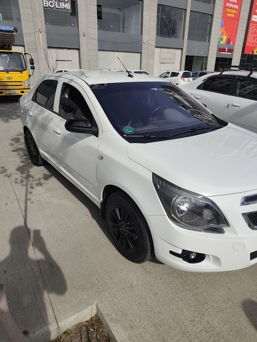 Other Cobalt 2025 — 5