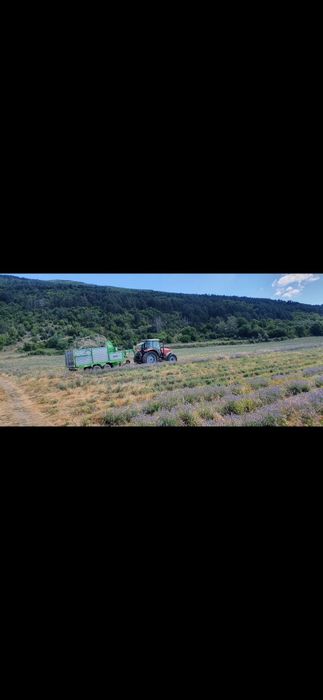 Продава се Земеделски имот в с. Тъжа, Област Стара Загора -  кв.м за 1785 €/дка - Снимка #4