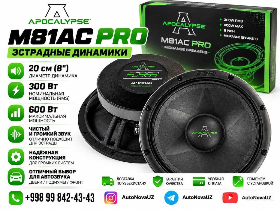Apocalypse M81AC PRO 20см 300Вт 600Вт Эстрадные Динамики Naqd Nasiya
