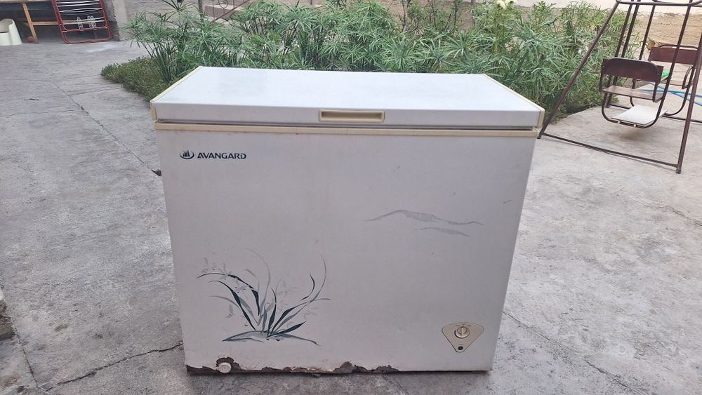 Морозильник AVANGARD