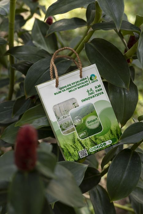 Poligrafiya xizmatlari