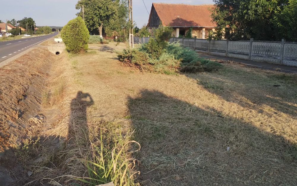 Casa veche din 1955 si teren intravilan 6153 mp,Localitate Sinersig,Jud Timis