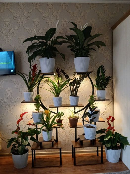 Подставка для цветов || с лампой для растений