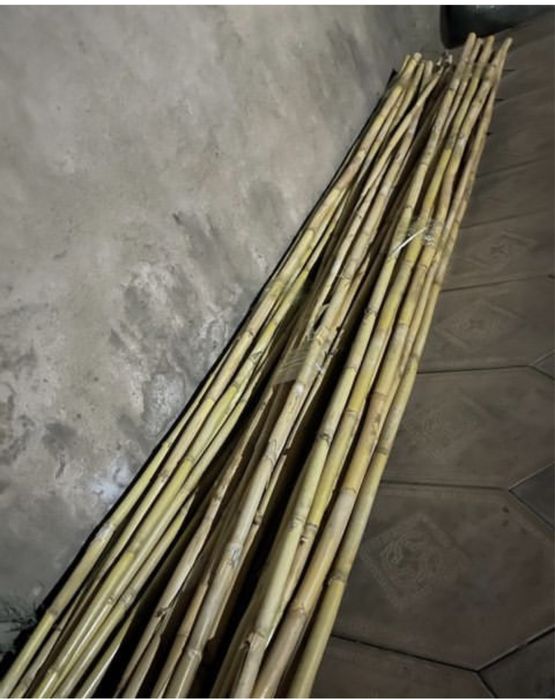 Бамбук палки стволы для декора