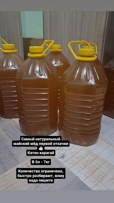 Продаю Катон карагайский мед