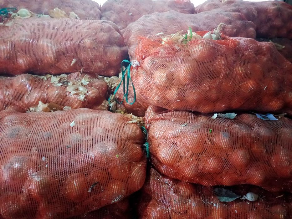 Срочно продам лук, цена договорная