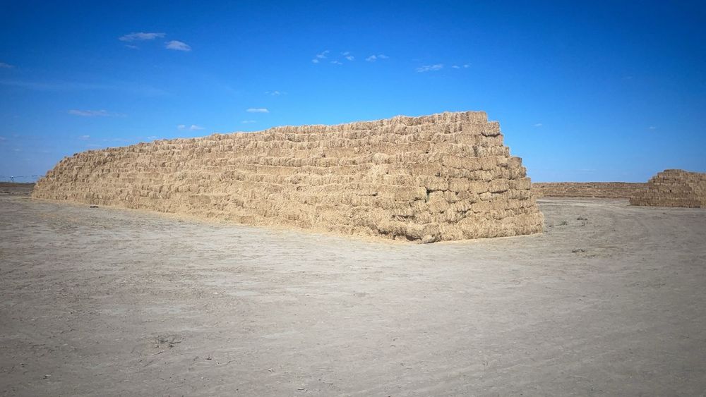 Сено Люцерна Шоп Жонышка