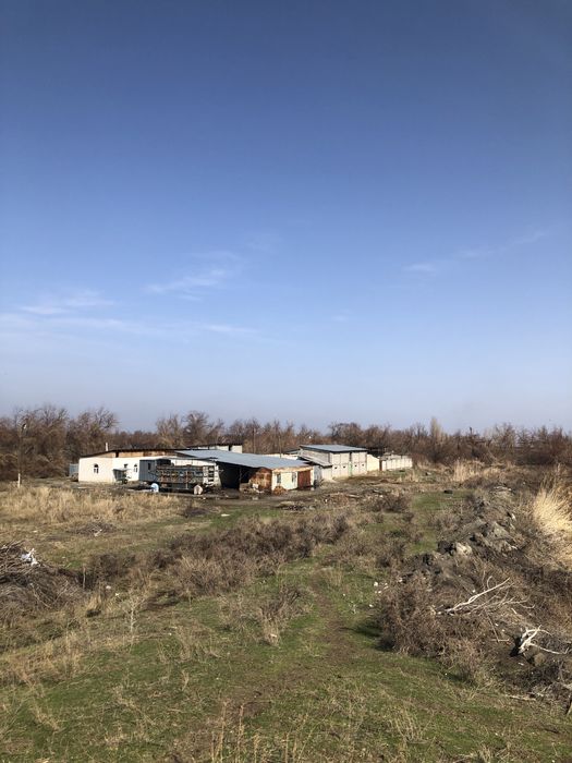 Фазенда Сатылады Откорм Баз