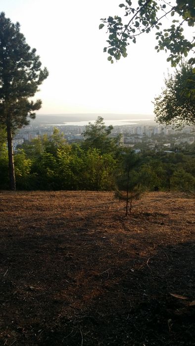 Продава се Парцел в с. Банкя, Област Перник - 1200 кв.м за 75 €/кв.м - Снимка #12