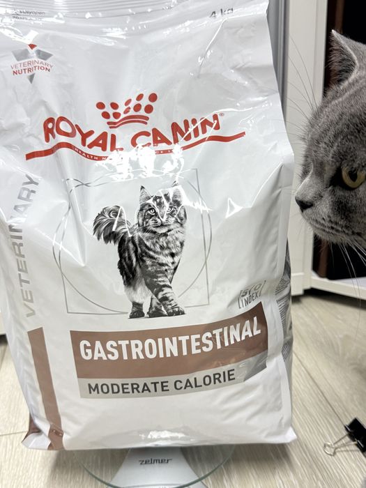 Gastrointestinal Royal Canin