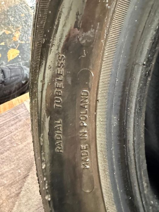 Зимние шины Sava