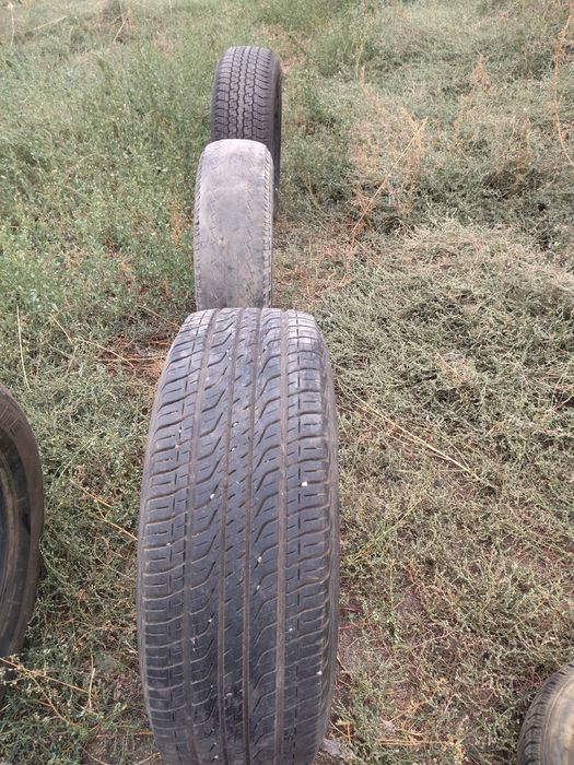 Шина летняя шина
