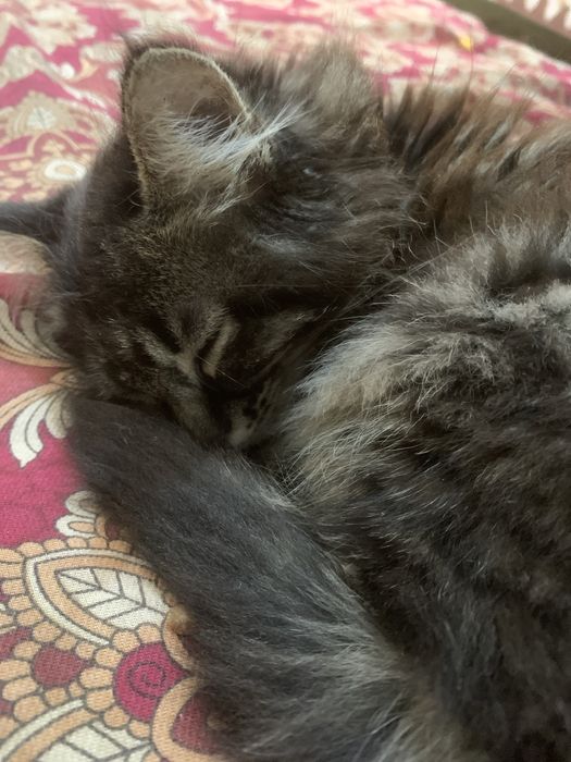 Bir partiyada navbat bilan porno sikish