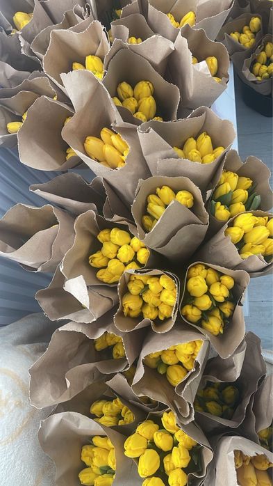 Тюльпаны высокие большие