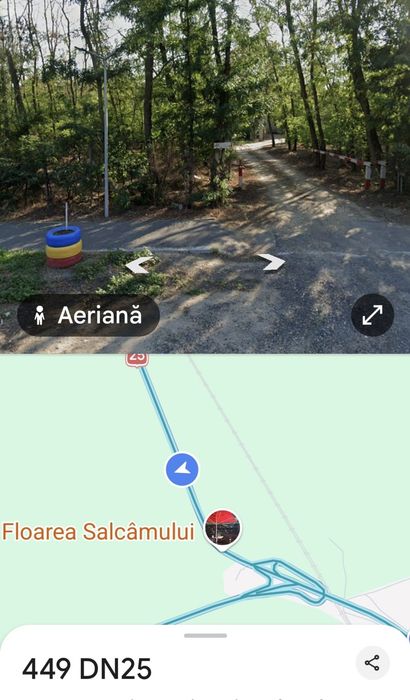 Vând  pădure  salcam