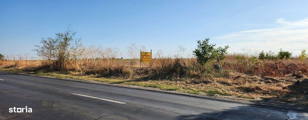 Frumusani-Pasarea,stradal la asfalt,ideala investitie!