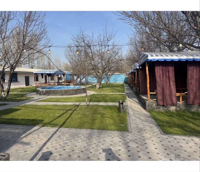 Kafe arendaga beriladi
