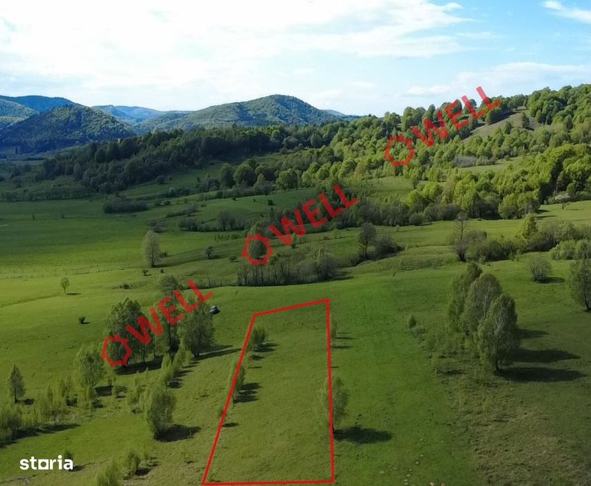 Teren extravilan de vânzare în Vama Buzăului!