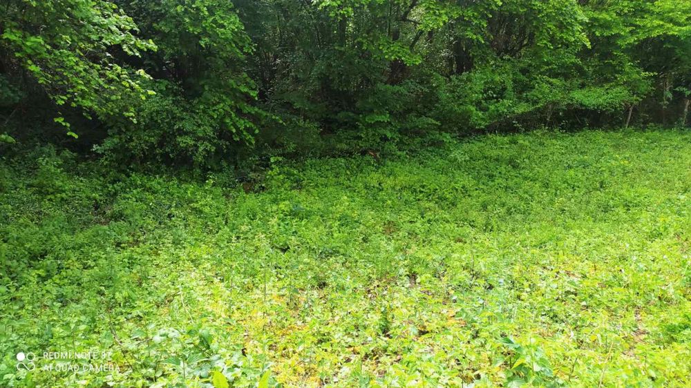 Продава се Къща в с. Пещера, Област Перник - 56 кв.м за 428 €/кв.м - Снимка #5