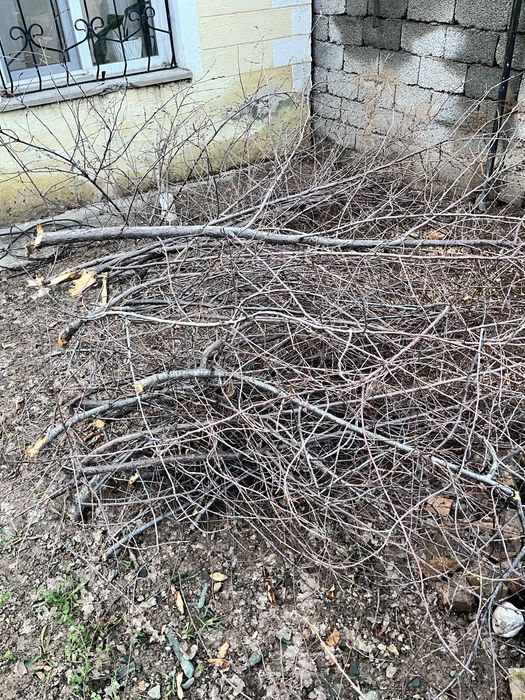 Дрова, отын сатылады