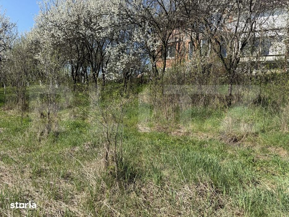 Teren intravilan in localitatea Criseni in suprafata de 2700 mp