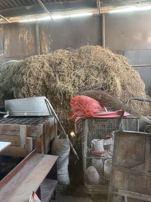 Продам сено скерда