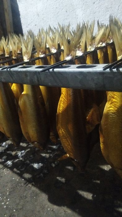 пеледь в продаже хорошего качества