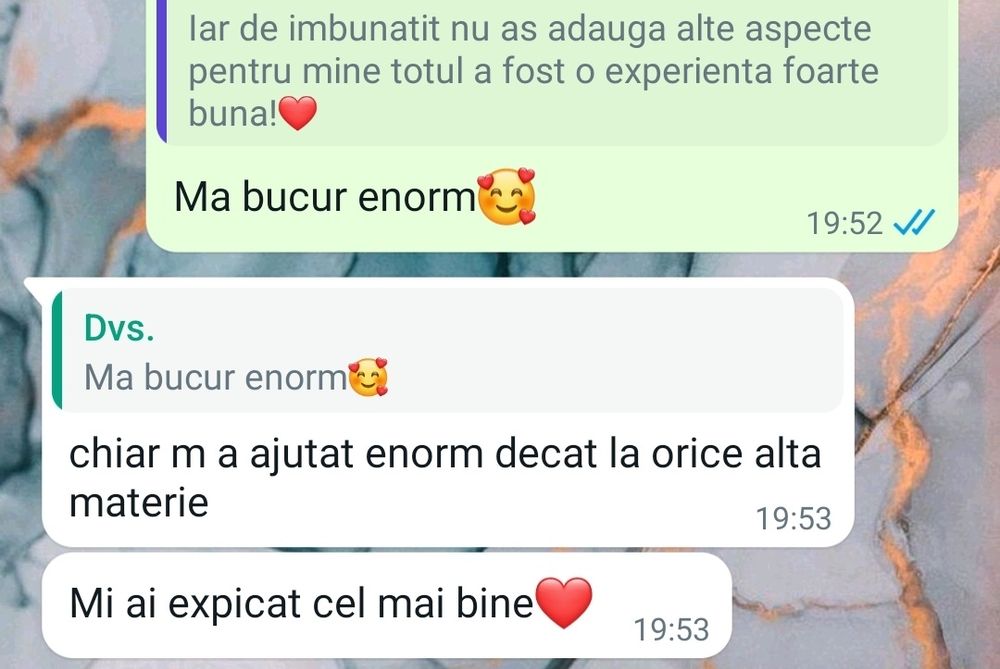 Meditatii BAC de 10 Lb. Romana