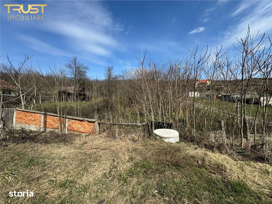 Teren Parcelabil I 11400 MP I Corpadea