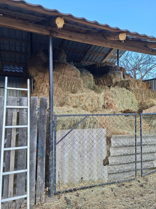 Baloti  fan calitate foarte buna