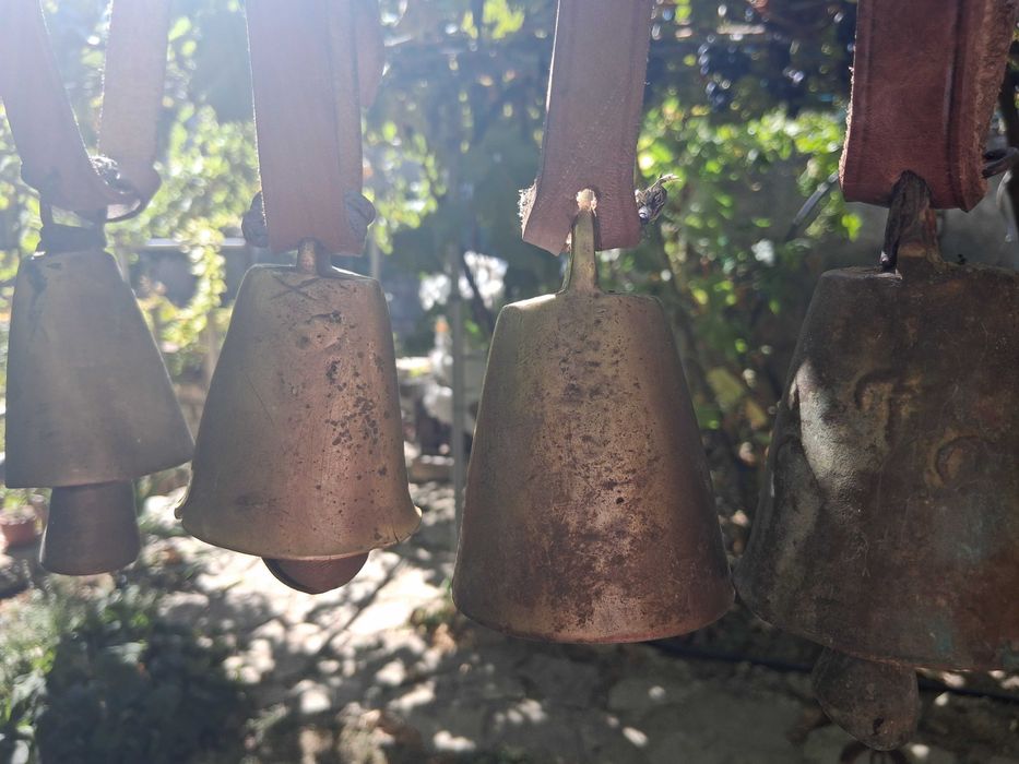 Звънци, Чан, Чанове