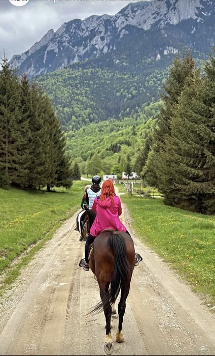 Cizme de munte Brașov Zărnești Plaiul Foii cabana cazare