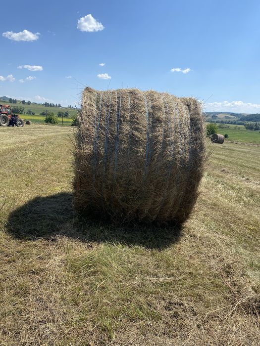 Baloti rotunzi de fan!