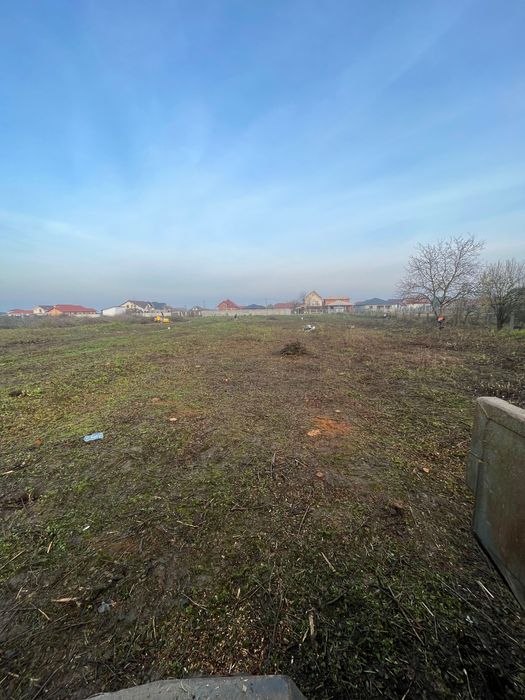 Lucrari de Defrisare,Desfintare livezi,Curatare terenuri,gradini,curti