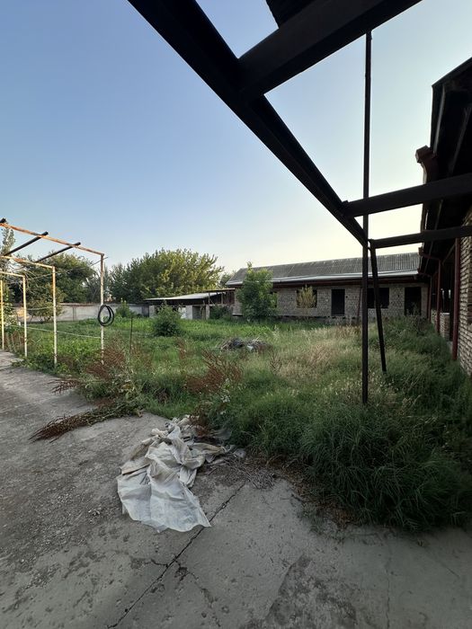 8.000$  Тойтепа , Qorasuv