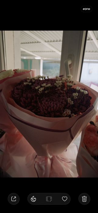 Цветы свежий очень красивые