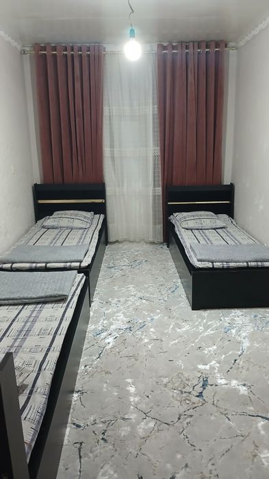 Ойло ва улфатлар дам олиш учун дача чарвак бочка отрофида.
